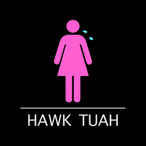 ANTH - Hawk Tuah MP3 DOWNLOAD