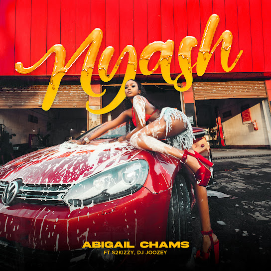 Abigail Chams - Nyash MP3