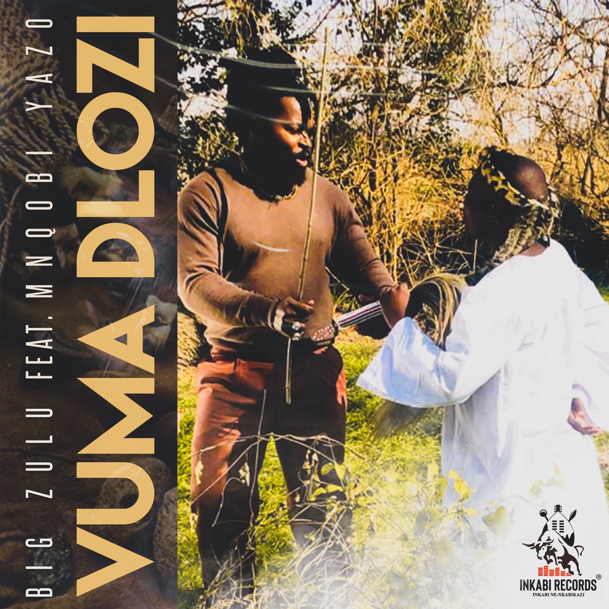 Big Zulu - Vuma Dlozi MP3