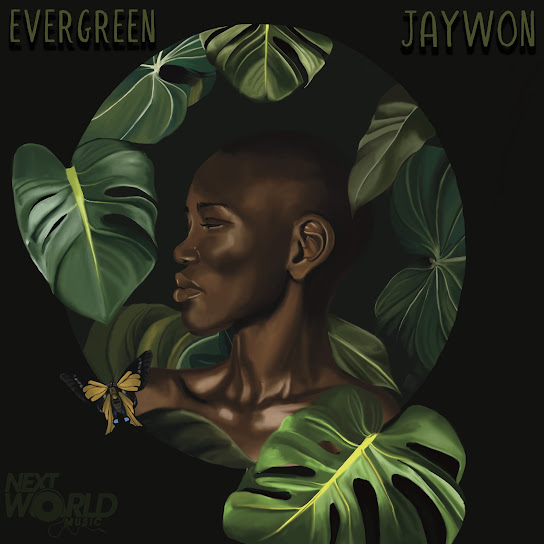 Jaywon - Ankara MP3 DOWNLOAD