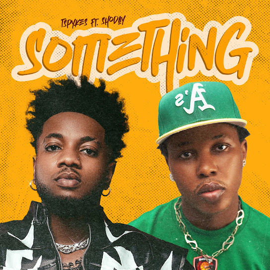 Tspykes - Something Something MP3 DOWNLOAD