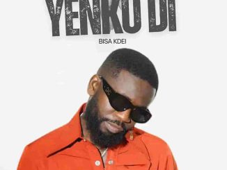 Bisa Kdei - Yenkodi MP3