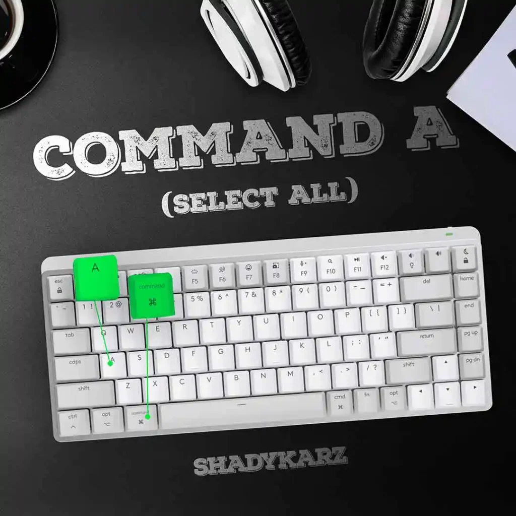 Shadykarz - Command A (select all) Mp3 Download