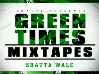 Shatta Wale - Halleluyah (I Am da Future) MP3