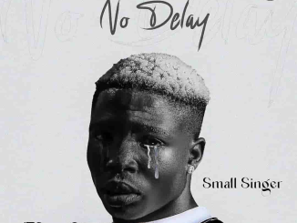 Small Singer - No Delay Mp3