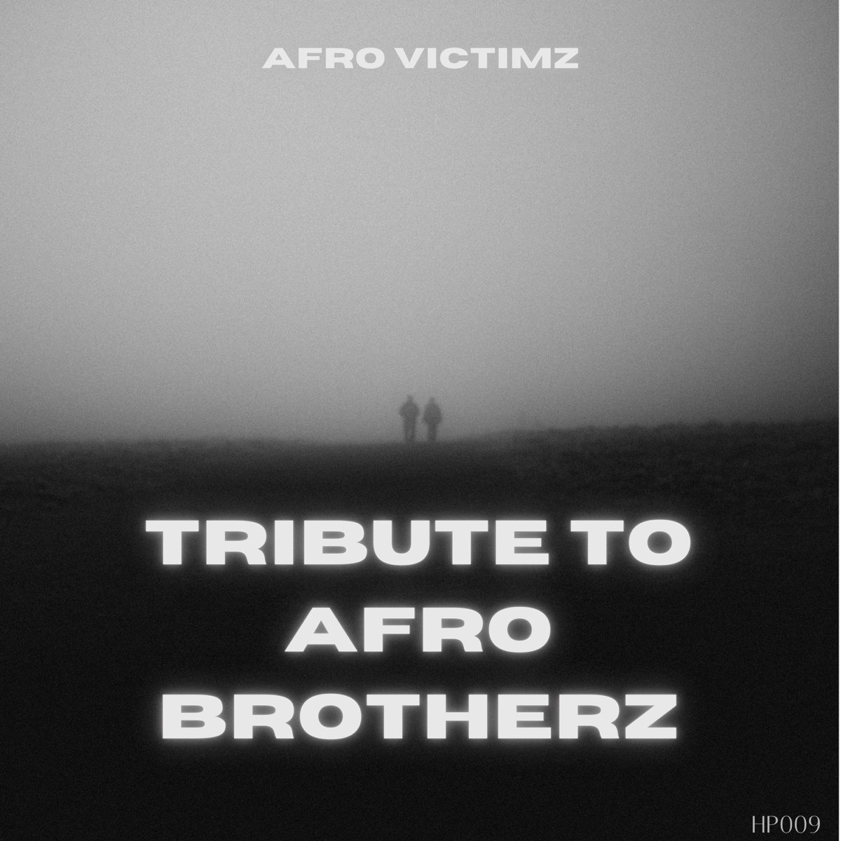 Afro Victimz Tribute To Afro Brotherz Mp3 Download