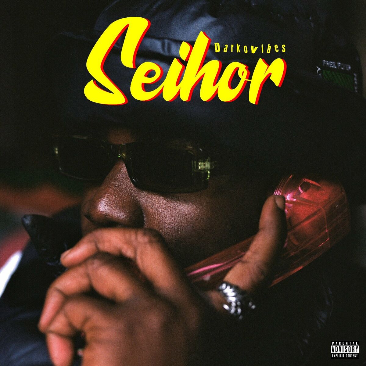 DarkoVibes Seihor Mp3 Download