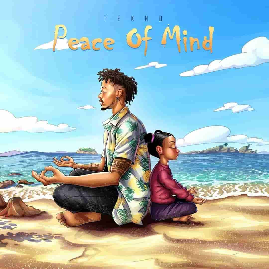 Tekno - Peace Of Mind Mp3 Download