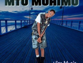 Vira Music Mtuu Muhimu Mp3